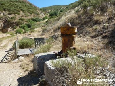 Pinar de Canencia y Mina de Plata del Indiano;puerto de la cruz verde;las caras de buendia